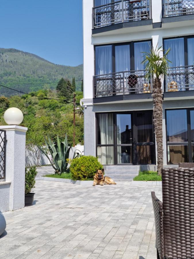 Gega Hotel Gagra Eksteriør billede